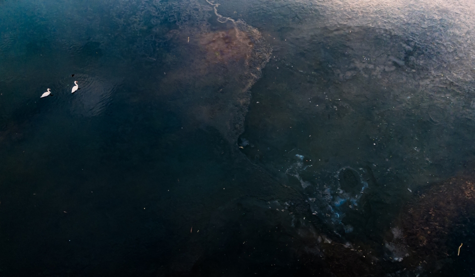 Together we swim through the world's sea of stars