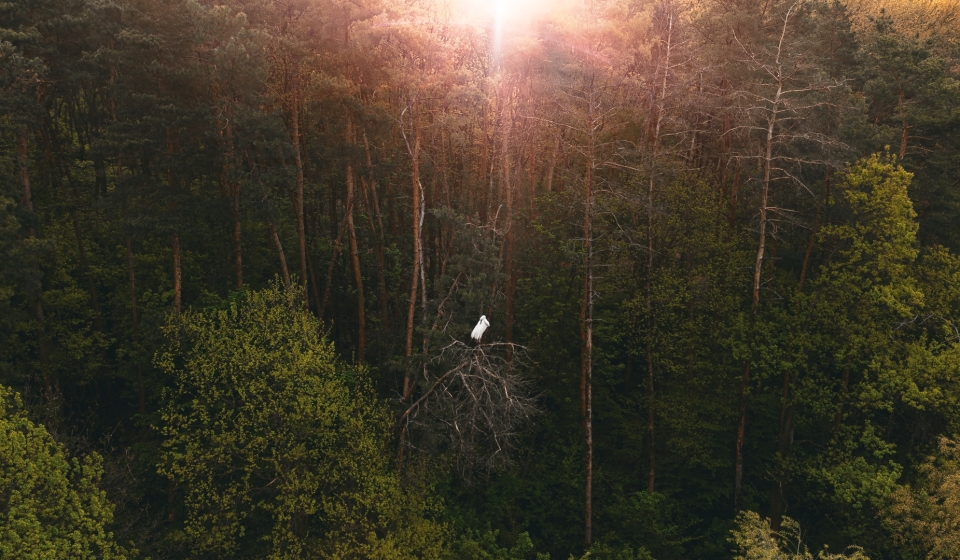 While you were sleeping