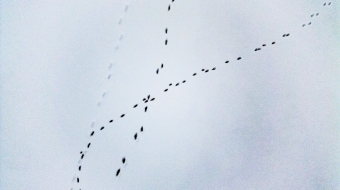 Complicated relationship